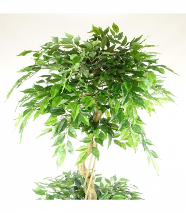 180cm Artificial Twisted Trunk Fruticosa Ficus Tree Triple Ball Topiary 1984 Leaves Gold Metal Planter
