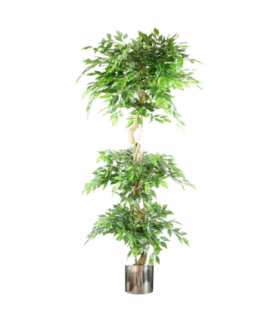 180cm Artificial Twisted Trunk Fruticosa Ficus Tree Triple Ball Topiary 1984 Leaves Silver Metal Planter