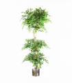 180cm Artificial Twisted Trunk Fruticosa Ficus Tree Triple Ball Topiary 1984 Leaves Silver Metal Planter