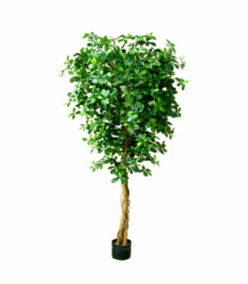 180cm Fire Retardant Black Olive Tree with 2925 Leaves and Natural Trunk