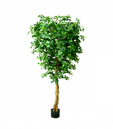 180cm Fire Retardant Black Olive Tree with 2925 Leaves and Natural Trunk