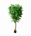 180cm Fire Retardant Black Olive Tree with 2925 Leaves and Natural Trunk