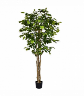 180cm Fire Retardant Deluxe Retusa Ficus Tree With 1134 Leaves