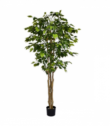 180cm Fire Retardant Deluxe Retusa Ficus Tree With 1134 Leaves