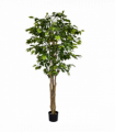180cm Fire Retardant Deluxe Retusa Ficus Tree With 1134 Leaves