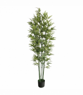180cm Natural Green Bamboo Artificial