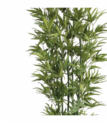 180cm Natural Green Bamboo Artificial