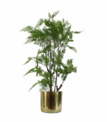 18cm Gold Etched Metal Planter by Leaf