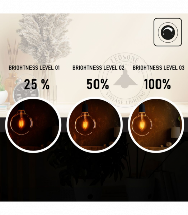 2 Pack E27 LED Edison Dimmable Vintage Amber Glass Warm white 2700K Light Bulbs