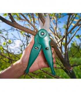 2 in 1 Multi Purpose Garden Shears