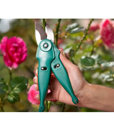 2 in 1 Multi Purpose Garden Shears