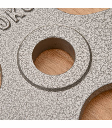 Olympic Weight Plates Steel Silver 2" 2 x 10kg Set for Strength Training