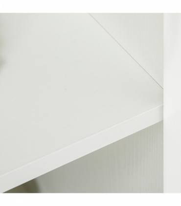Office Storage Cabinet 2-Tier Locking File Organisation White Particle Board