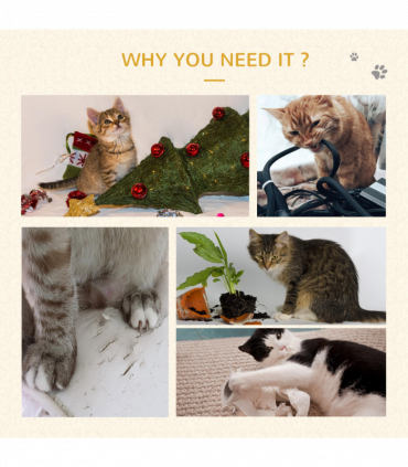 Cat Scratcher Lounger Bed