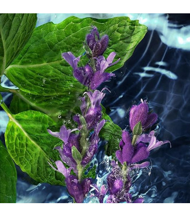 Davidoff Cool Water Deodorant Spray 150ml