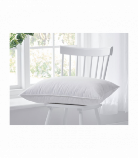 Down Sorround Pillow