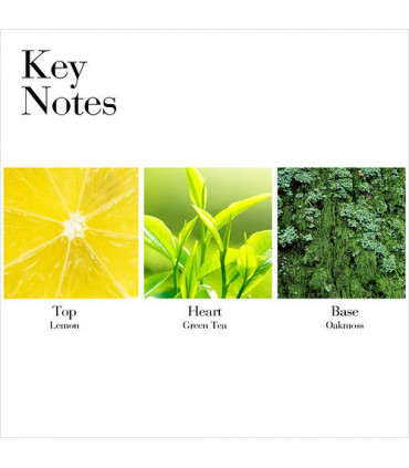 Elizabeth Arden Green Tea  Scent Spray 100ml