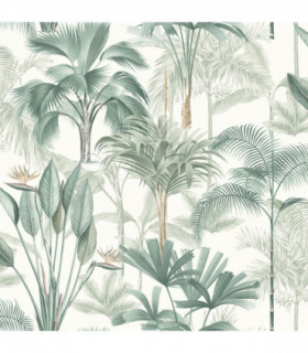 King Palm Green sw12