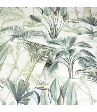 King Palm Green sw12