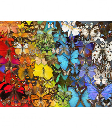 Natural History Museum - Butterflies & Moths 1000 Piece Jigsaw Puzzle