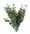 Pack of 6 x 100cm Artificial Eucalyptus Foliage