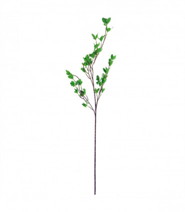 Pack of 6 x 100cm Mini Leaf Ficus Stem