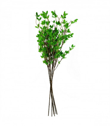 Pack of 6 x 100cm Mini Leaf Ficus Stem