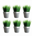 Pack of 6 x 22cm Artificial Grass Plant