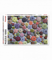 Sea urchins 1000 Piece Jigsaw Puzzle