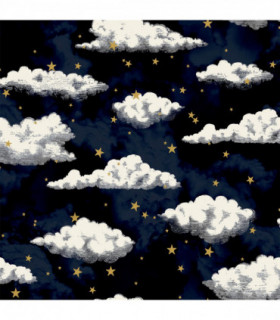 Stars And Clouds Navy sw12