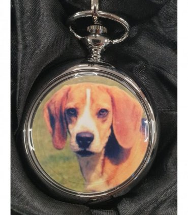 Boxx Picture Pocket watch Beagle Dog P5061.94