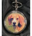Boxx Picture Pocket watch Beagle Dog P5061.94