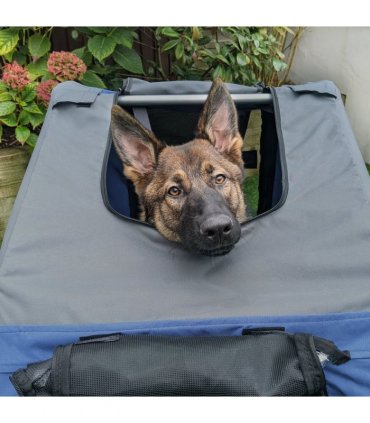 Pet Bicycle Trailer Dog Cat Bike Carrier Water Resistant W/ Hitch Coupler Blue