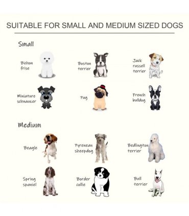 Raised Pet Feeder Elevated Double Staninless Steel Bowls Stand Water White