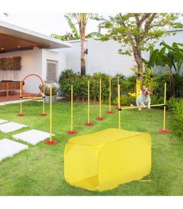 Outdoor 4 PCs Dog Pet Agility Training Equipment Backyard Starter Course Set