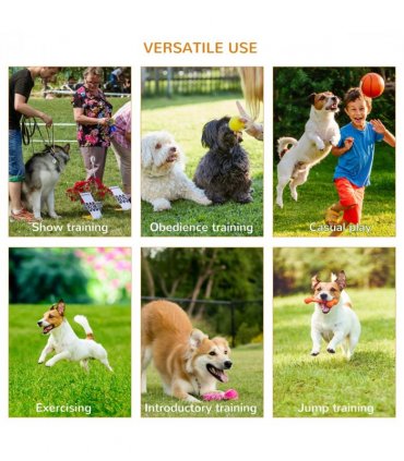 Outdoor 4 PCs Dog Pet Agility Training Equipment Backyard Starter Course Set