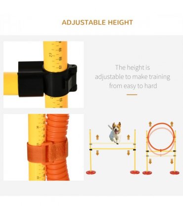 Outdoor 4 PCs Dog Pet Agility Training Equipment Backyard Starter Course Set