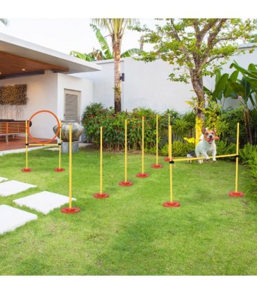 Pet Agility Training Obstacle Set Yellow 128L x 23W x 9H cm Jumping Pole Ring