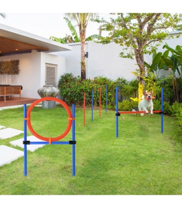 Pet Agility Set Training Play Kit Dog Jump Hoop Poles Tunnel Obedience Equipment