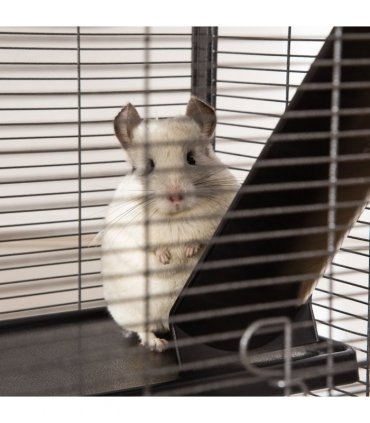 Rolling Small Animal Cage for Chinchillas Ferrets Kittens w/ Platform Ramp Tray