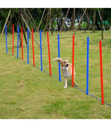 Pet Agility Set Training Play Kit Dog Hoop Poles Tunnel Obedience Equipment