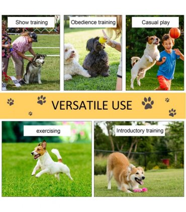 Pet Agility Set Training Play Kit Dog Hoop Poles Tunnel Obedience Equipment