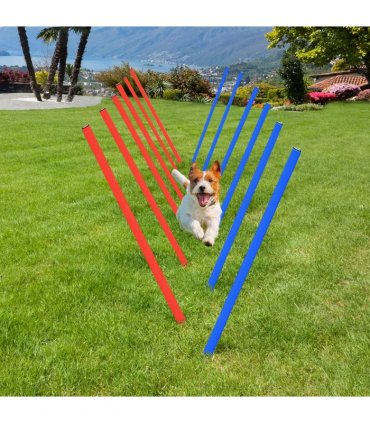Pet Agility Set Training Play Kit Dog Hoop Poles Tunnel Obedience Equipment