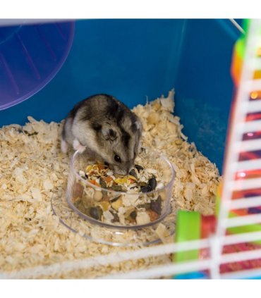 Five-Level Hamster Cage w/ Tubes, Water Bottle, Exercise Wheel, Ramps - Blue