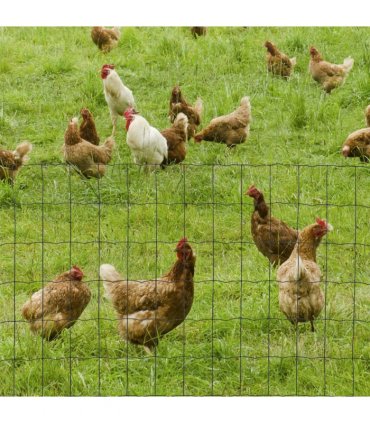 Mesh Fence Green PVC Coated 1000L x 1W x 61H cm Chicken Wire Mesh Garden