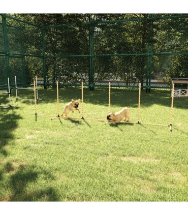 Dog Agility Weave Poles Training Obstacle Course Set Slalom Equipment w/ Whistle