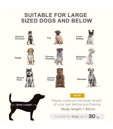 Pet Bed Raised Cot Dog Cat Elevated Puppy Hammock Camping Portable Waterproof