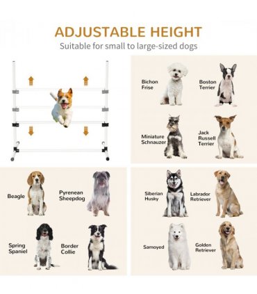 New Canine Agility Set Dog Jumping Training Obstacles Course Free Standing