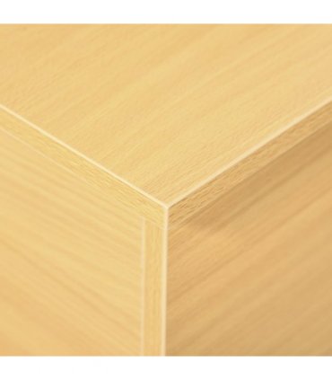 Storage Box Chest  Lid Spacious Collect Cabinet Chipboard -Burlywood