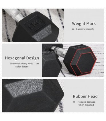 Hexagonal Dumbbells Kit Weight Lifting Exercise for Home Fitness 2x5kg HOMCOM